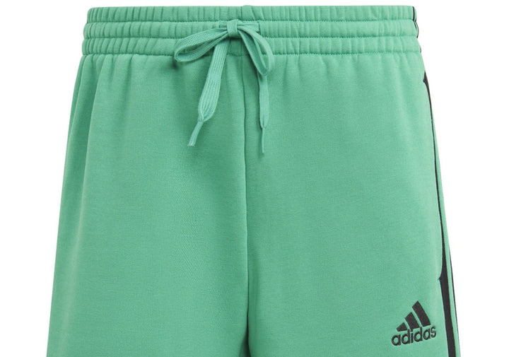 adidas Men's 3 Stripes 10 Fleece Shorts Green Size Small